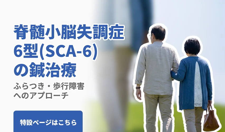 SCA-6